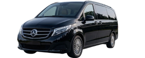 Mercedes Viano